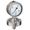 Pressure gauge with hydraulic separation diaphragm Type 39051 process connection stainless steel bottom connection